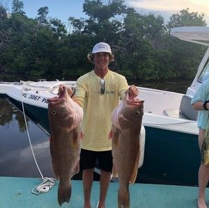 Meet your Posher, Xavier